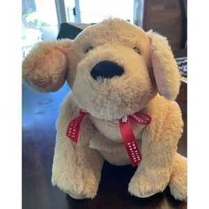 Two Blind Brothers Guider Guide Dog Labrador Retriever Plush Braille limited edi